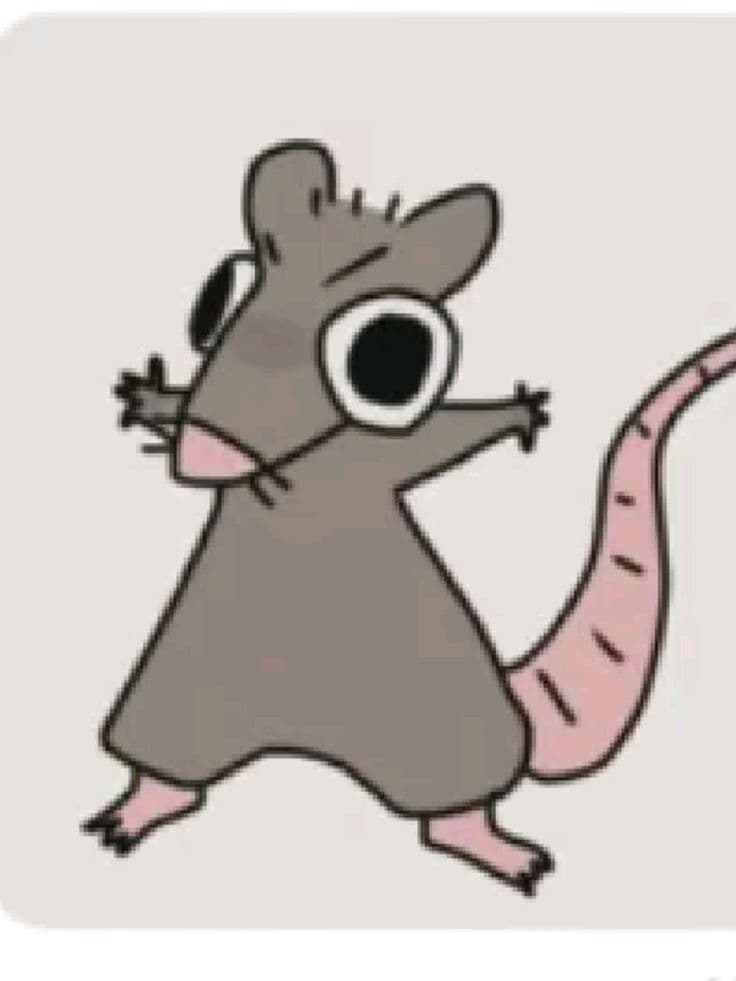 Avatar del Perfil