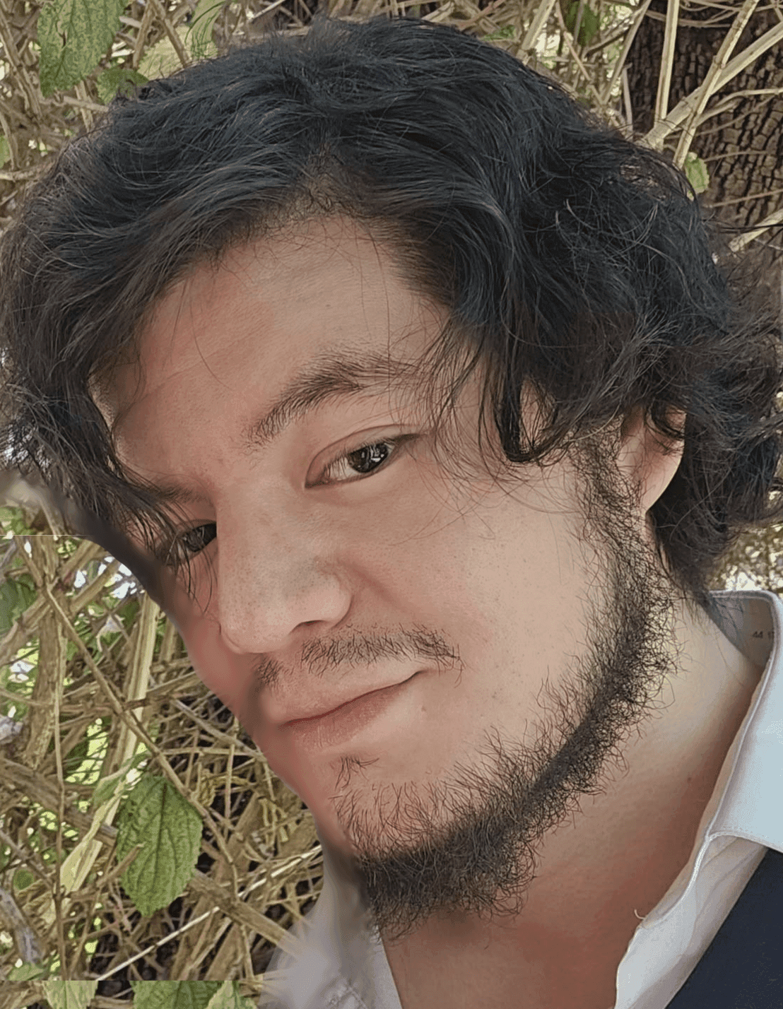 Avatar del Perfil